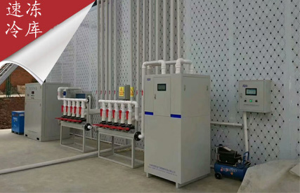 水產(chǎn)市場－50度速凍冷庫設計安裝案例